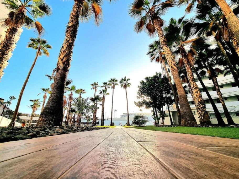 Un Pisito En Maspalomas มาสปาโลมาส ภายนอก รูปภาพ